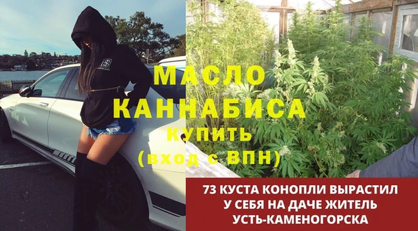 эйфоретик Алзамай
