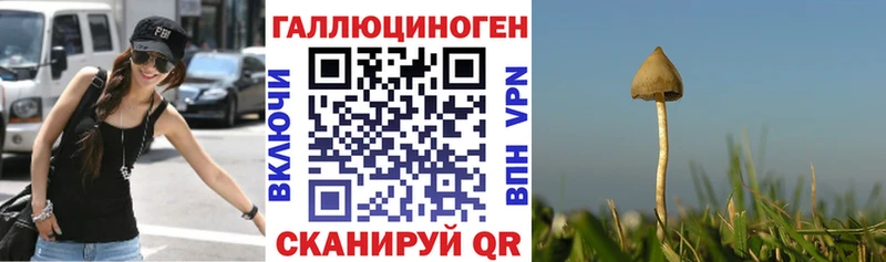Галлюциногенные грибы мухоморы наркотики Дедовск